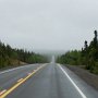 <p align=left>La route est belle à plusieurs endroits. Les épinettes sont reines.